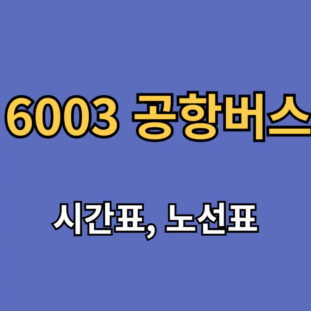 6003 공항버스