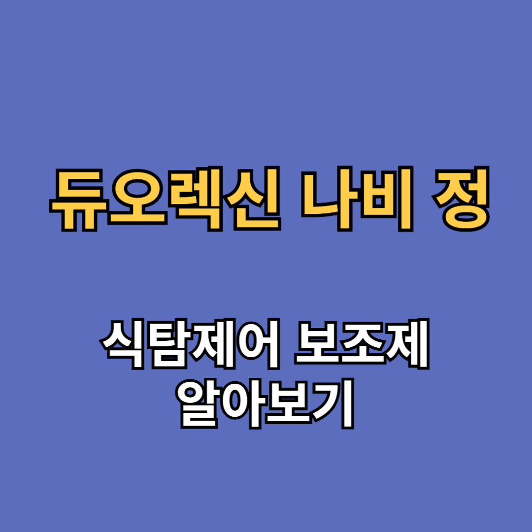 듀오렉신 나비정