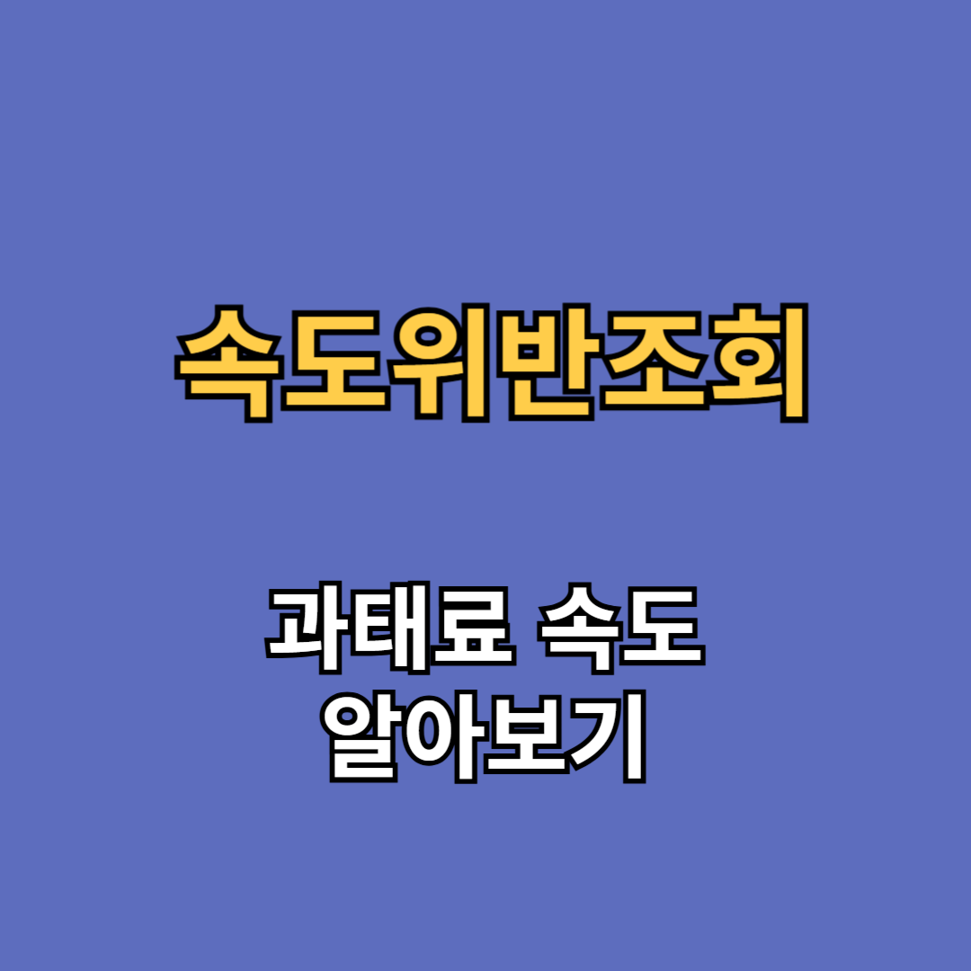 속도위반조회 과태료 속도