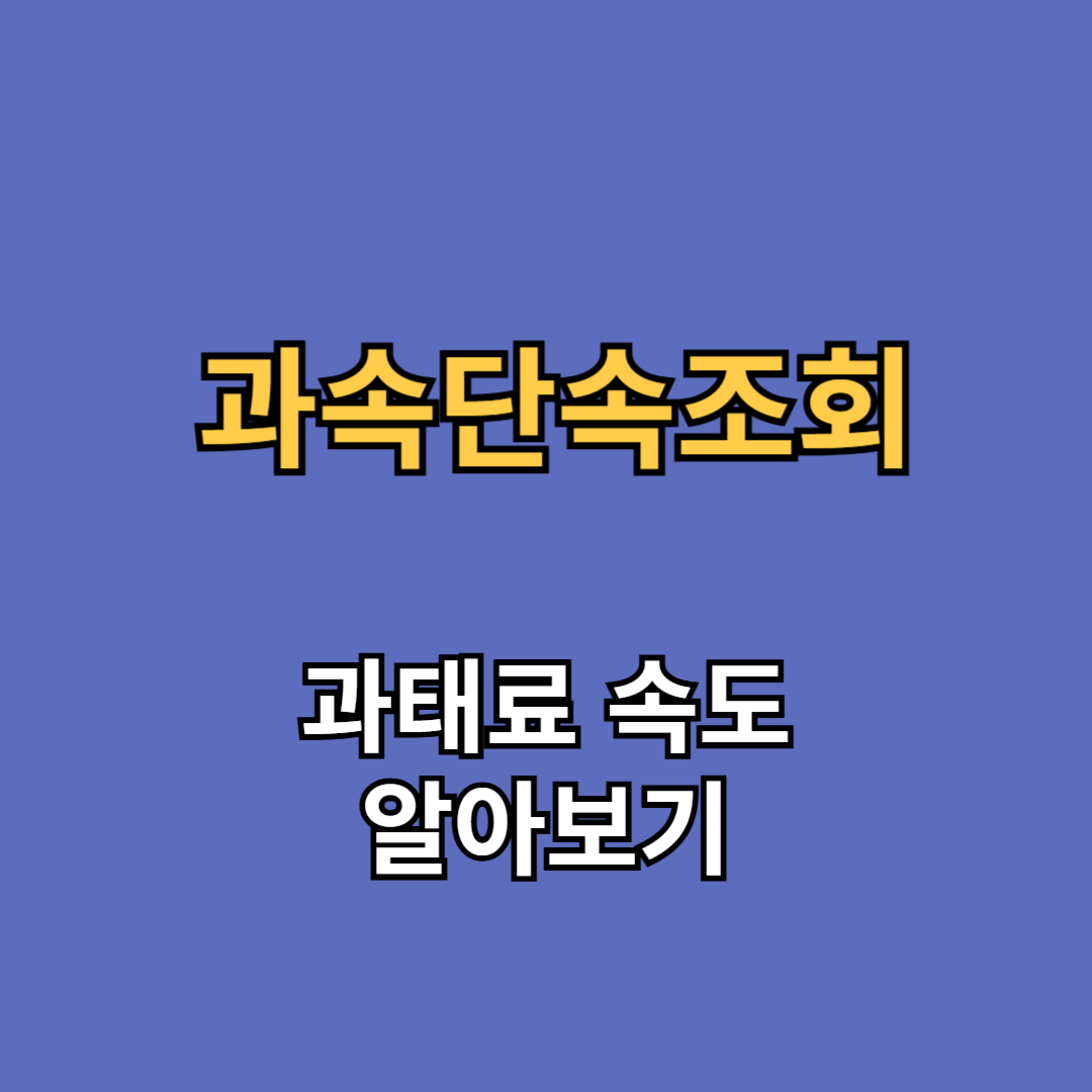 과속 단속 과태료 조회
