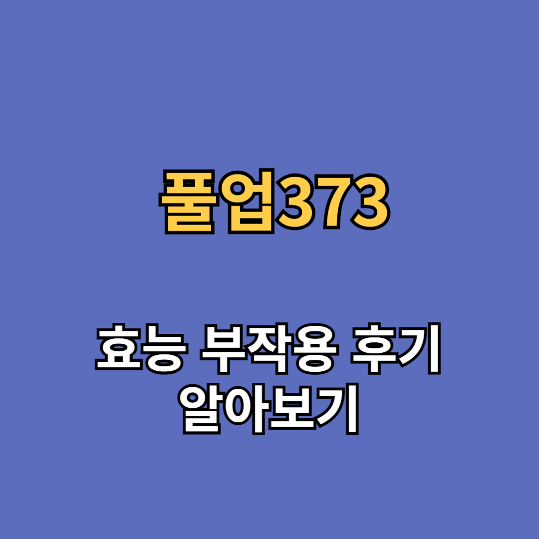 풀업373 효능 부작용 후기