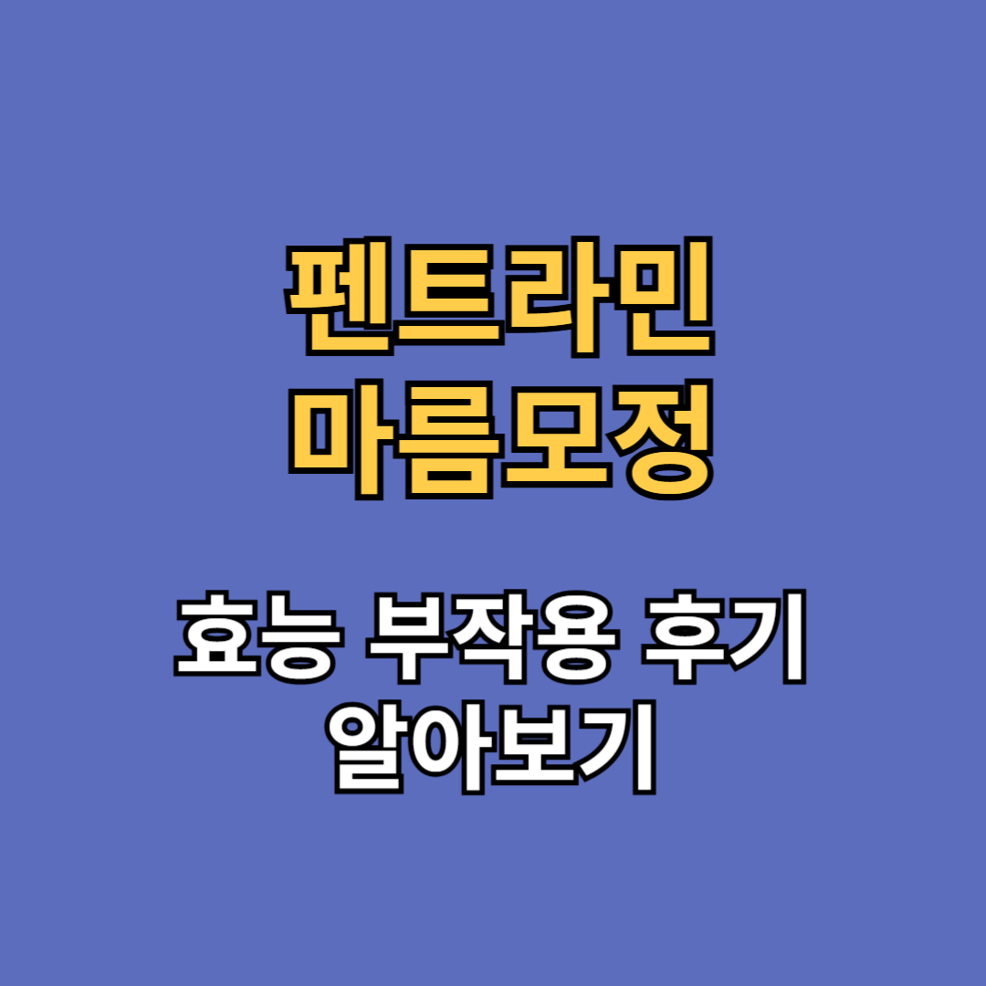 펜트라민 마름모정 효능 부작용 후기