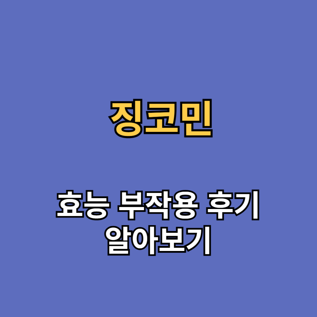 징코민 효능 부작용 후기