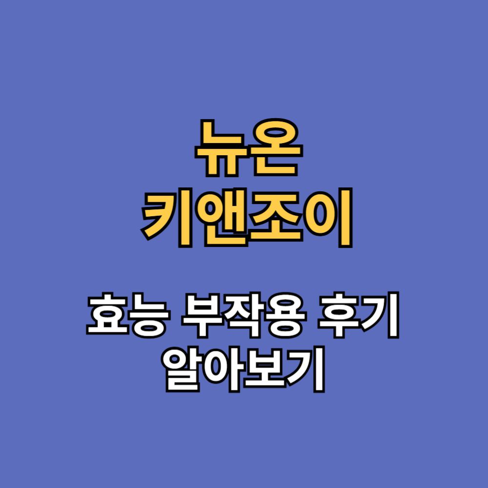 뉴온 키앤조이 효능 부작용 후기