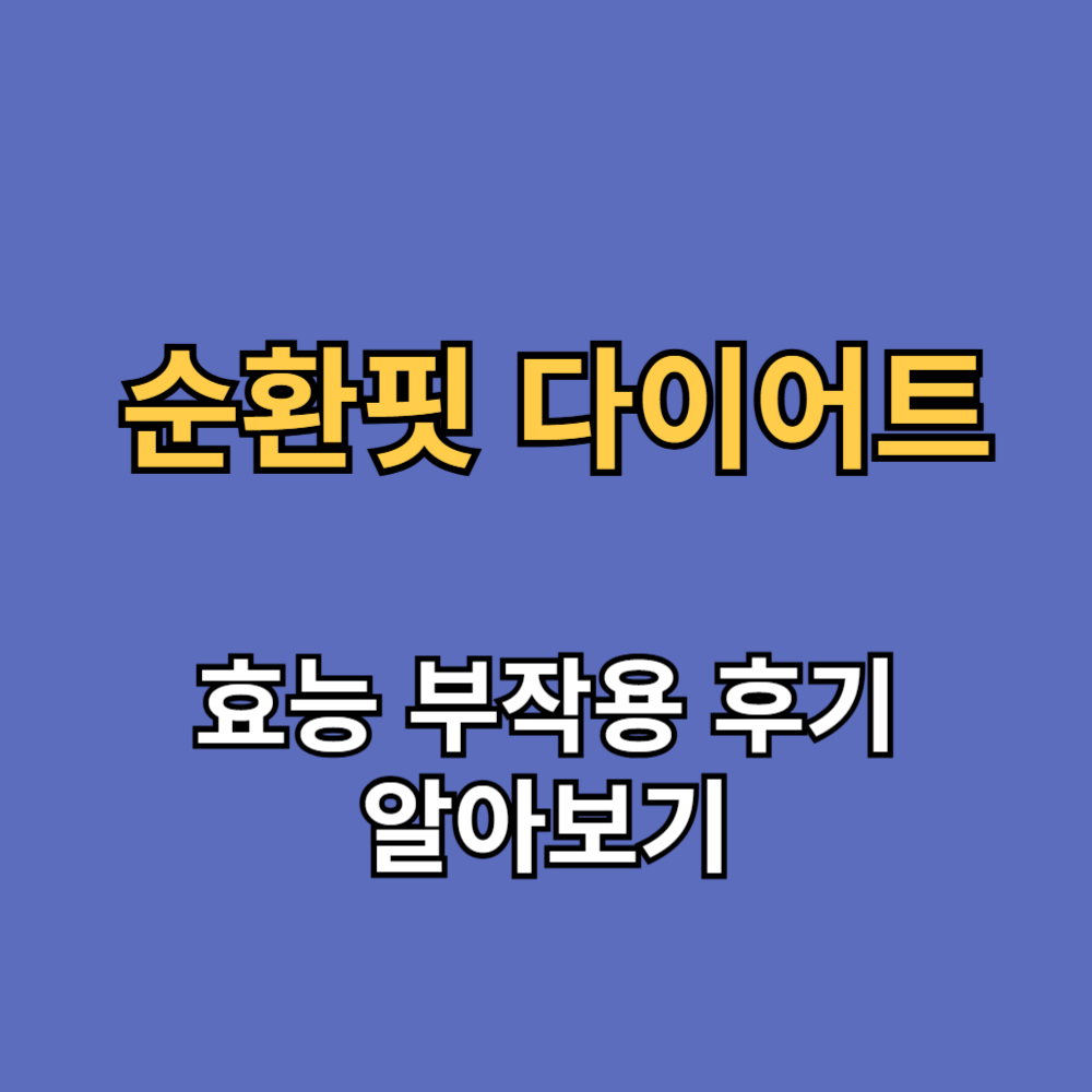 순환핏 다이어트 효능 부작용 후기