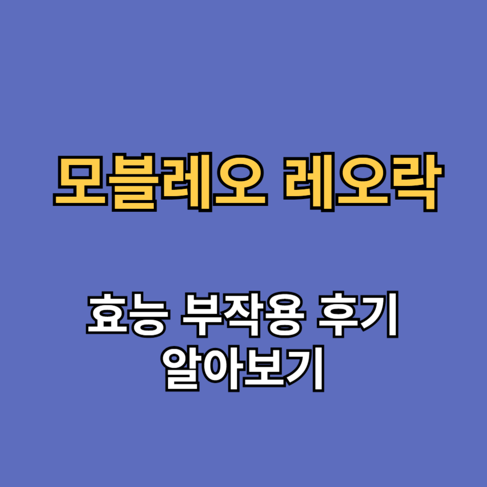 모블레오 레오락 효능 부작용 후기