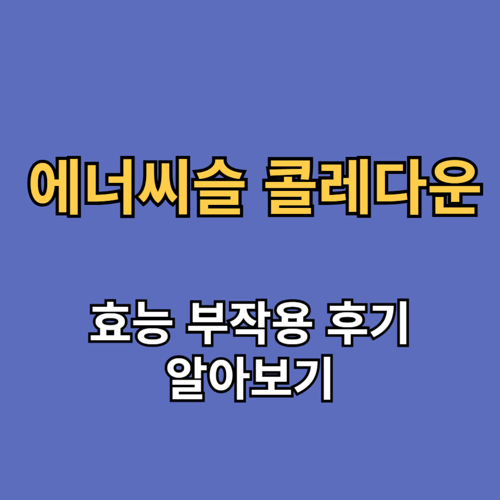 에너씨슬 콜레다운 효능 부작용 내돈내산 후기