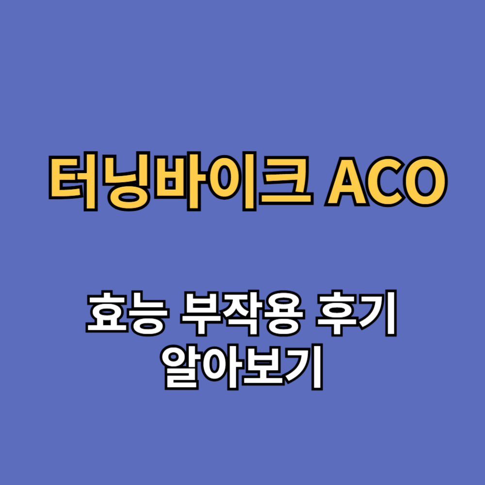터닝바이크 ACO 효능 부작용 후기