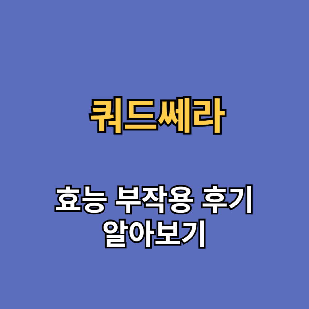 쿼드쎄라 미니튠 효능 부작용 후기