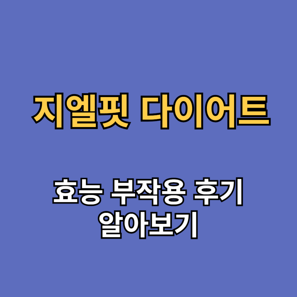 지엘핏 다이어트