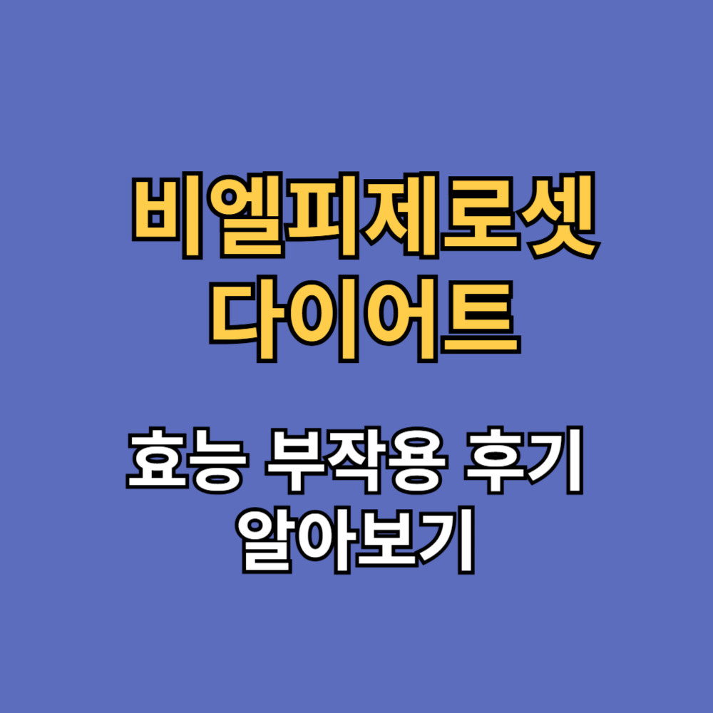 비엘피제로셋 다이어트 효능 부작용 내돈내산 후기