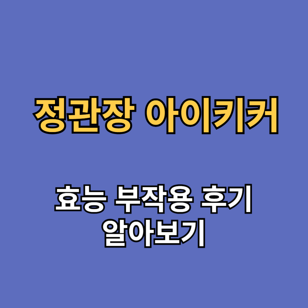 정관장 아이키커