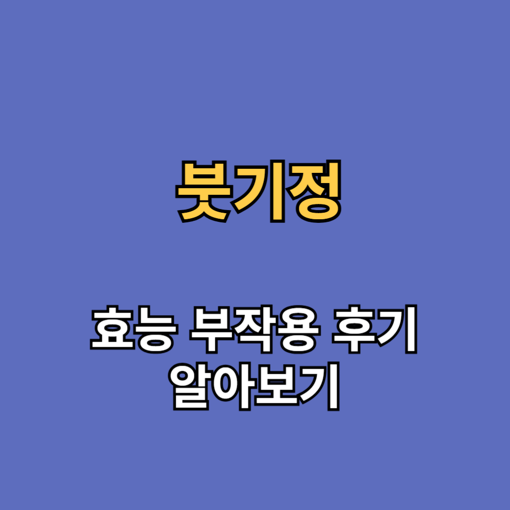 밸런티어 붓기정