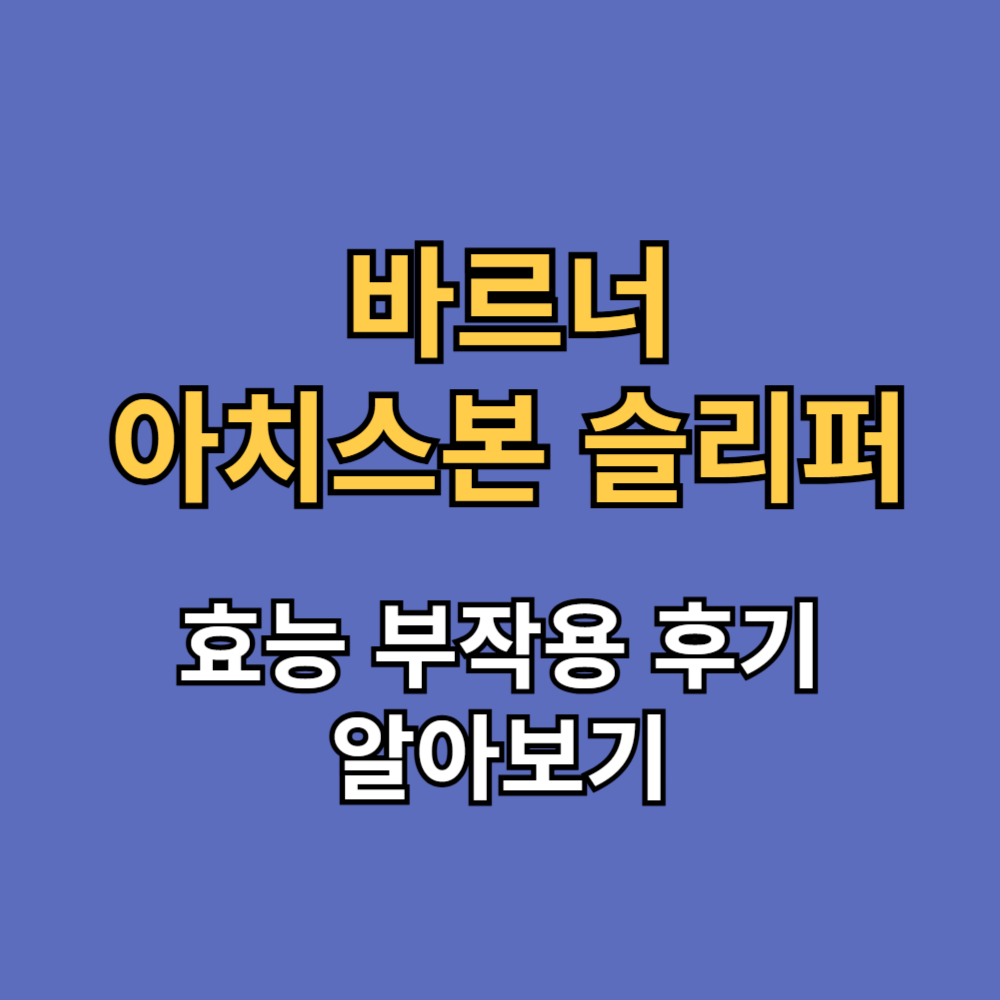 바르너아치스본 슬리퍼 효능 부작용 내돈내산 후기