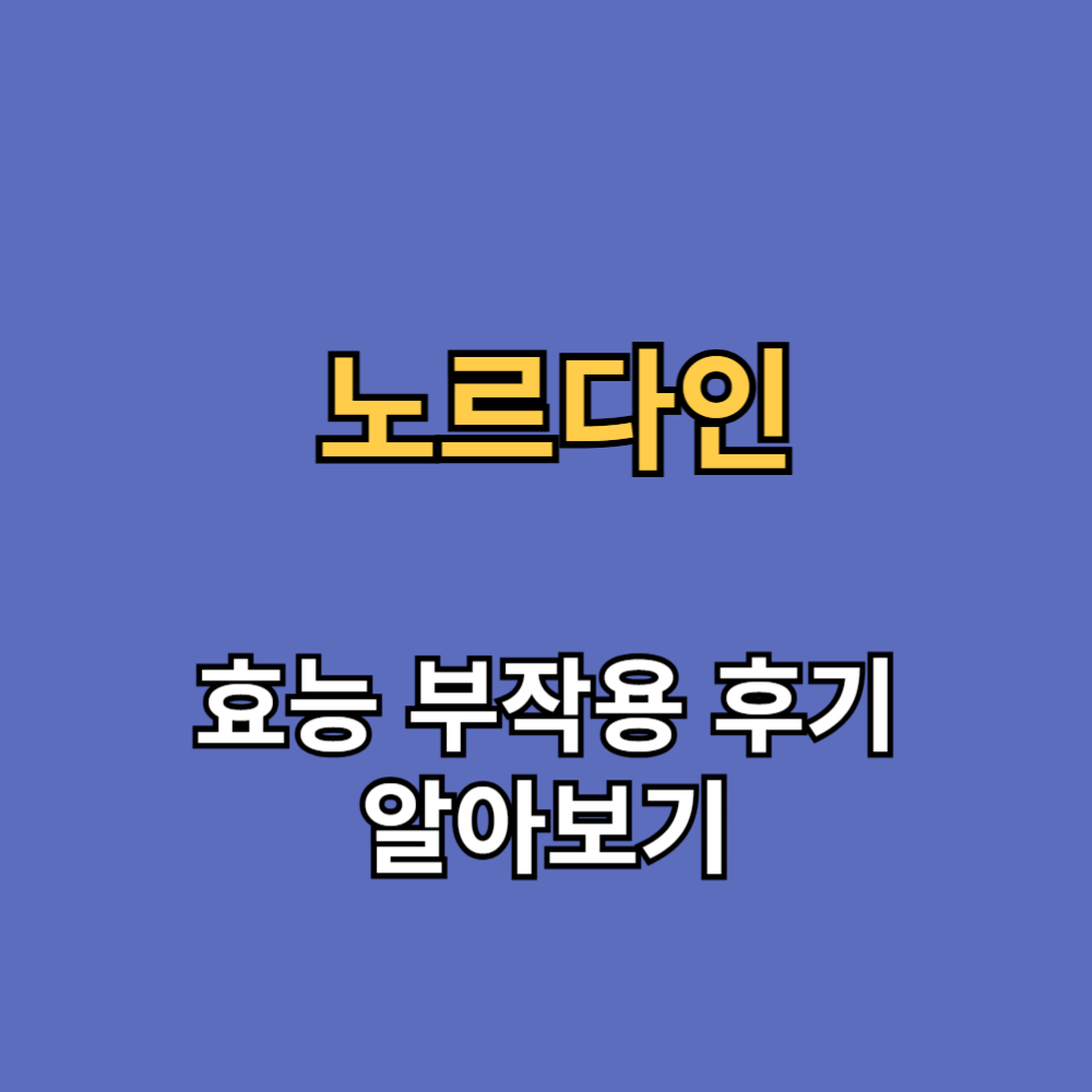 노르다인