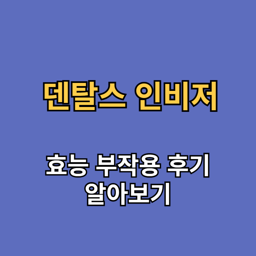 덴탈스 인비저 효능 부작용 내돈내산 후기