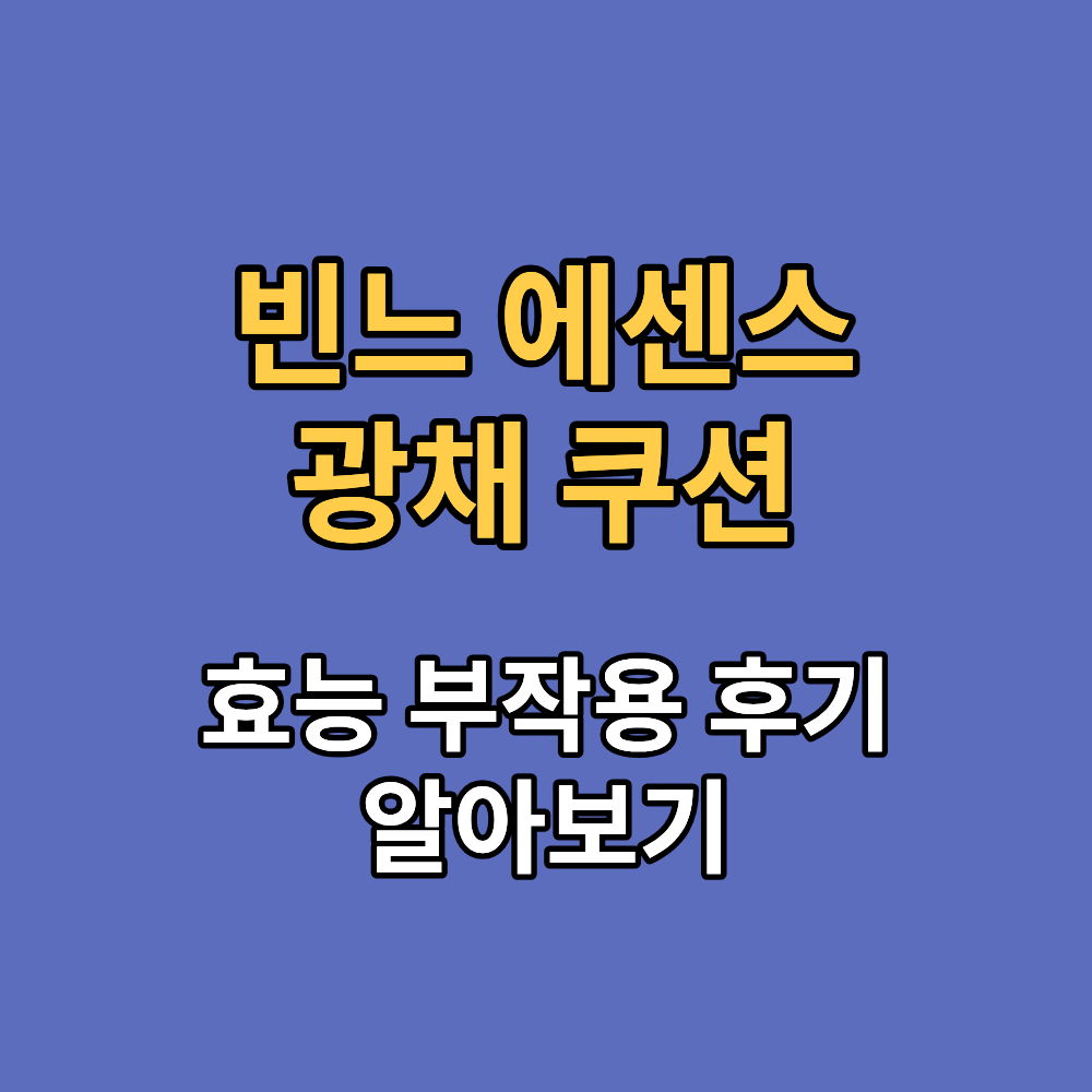 빈느 에센스 광채 쿠션 효능 부작용 내돈내산 후기