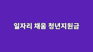 일자리 채움 청년지원금
