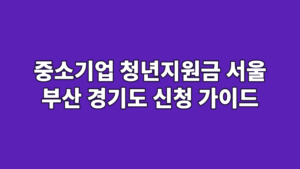 중소기업 청년지원금 서울 부산 경기도 신청 가이드