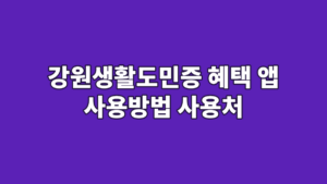 강원생활도민증 혜택 앱 사용방법 사용처