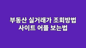 부동산 실거래가 조회방법 사이트 어플 보는법