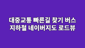 대중교통 빠른길 찾기 버스 지하철 네이버지도 로드뷰