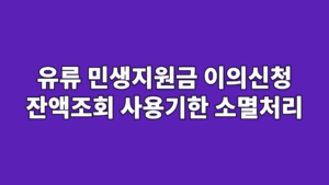 유류 민생지원금 이의신청 잔액조회 사용기한 소멸처리