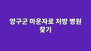 양구군 마운자로 처방 병원 찾기