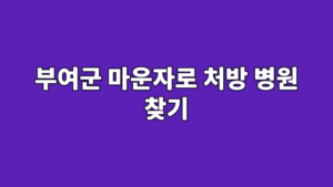 부여군 마운자로 처방 병원 찾기