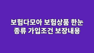 보험다모아 보험상품 한눈 종류 가입조건 보장내용