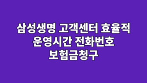 삼성생명 고객센터 효율적 운영시간 전화번호 보험금청구