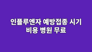 인플루엔자 예방접종 시기 비용 병원 무료