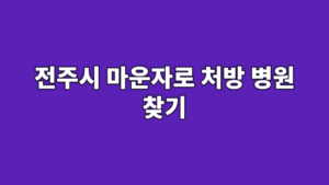 전주시 마운자로 처방 병원 찾기