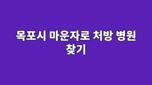 목포시 마운자로 처방 병원 찾기