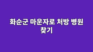 화순군 마운자로 처방 병원 찾기