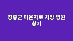 장흥군 마운자로 처방 병원 찾기