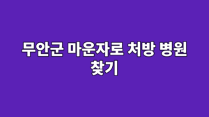 무안군 마운자로 처방 병원 찾기