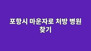 포항시 마운자로 처방 병원 찾기