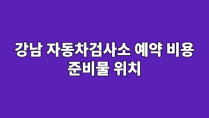 강남 자동차검사소 예약 비용 준비물 위치