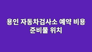 용인 자동차검사소 예약 비용 준비물 위치