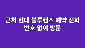 근처 현대 블루핸즈 예약 전화 번호 없이 방문