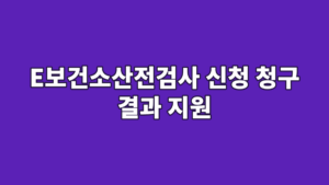 E보건소산전검사 신청 청구 결과 지원