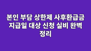 본인 부담 상한제 사후환급금 지급일 대상 신청 실비 완벽 정리