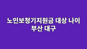 노인보청기지원금 대상 나이 부산 대구