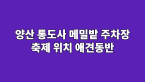 양산 통도사 메밀밭 주차장 축제 위치 애견동반