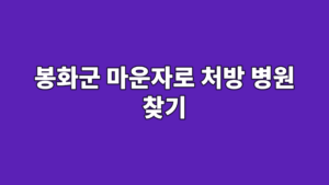 봉화군 마운자로 처방 병원 찾기