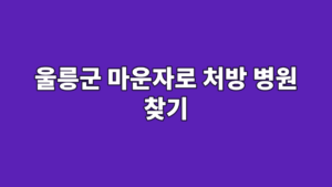 울릉군 마운자로 처방 병원 찾기